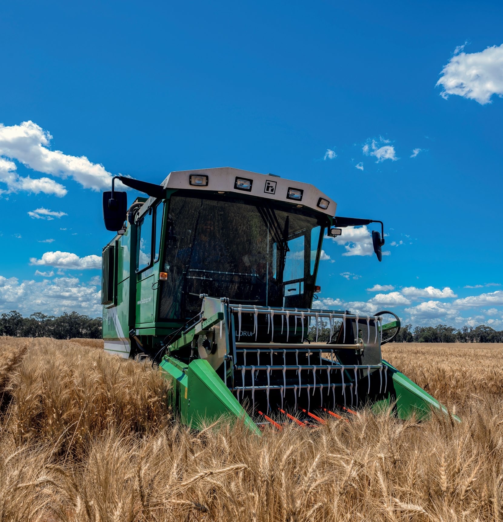 NVT Report Generator